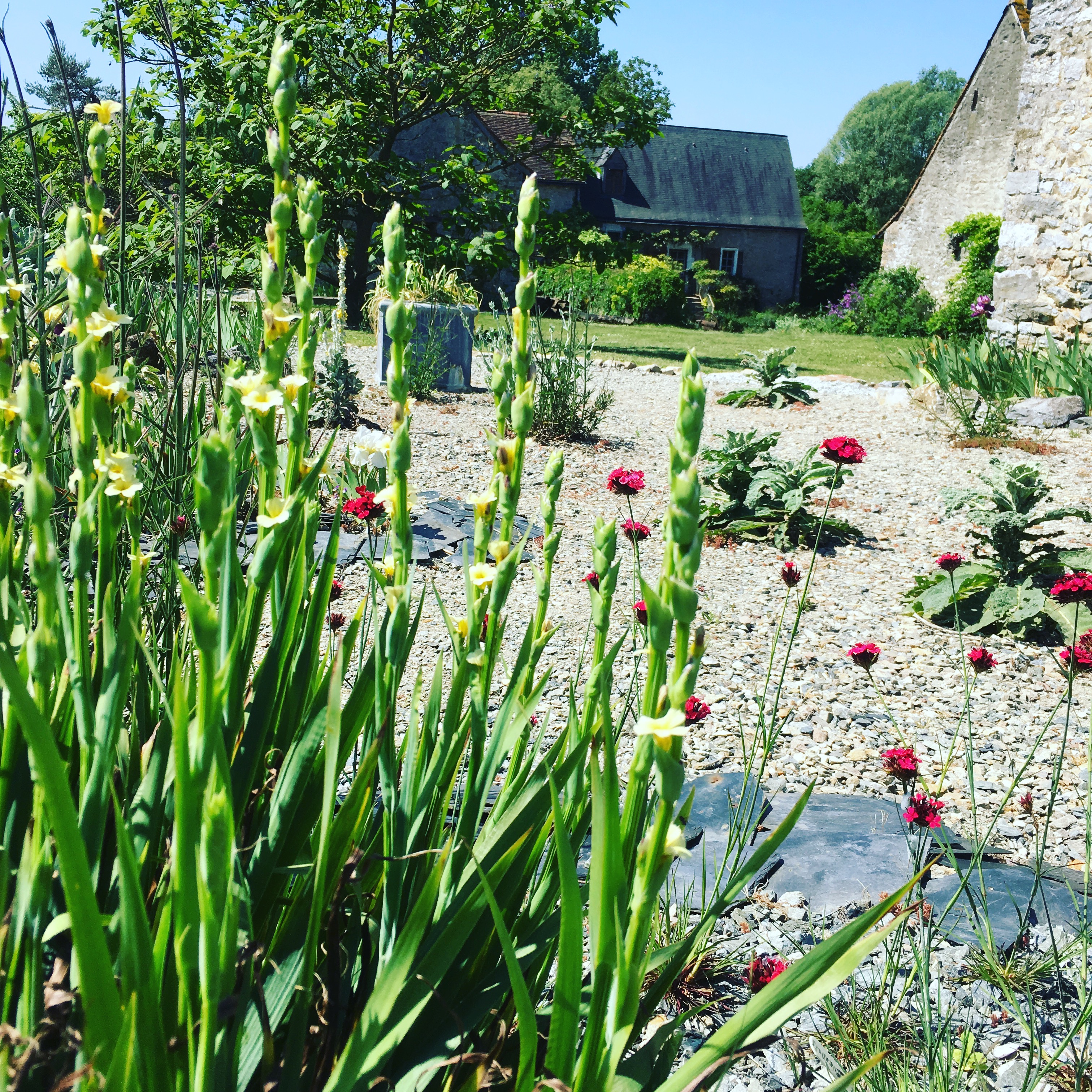 Le Domaine, Route de Bannes, Epineux-le-Seguin 53340  -2